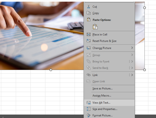 In Microsoft Excel, the context menu for a selected image is open with the View Alt Text option highlighted to show where to add or edit alternative text for an image.