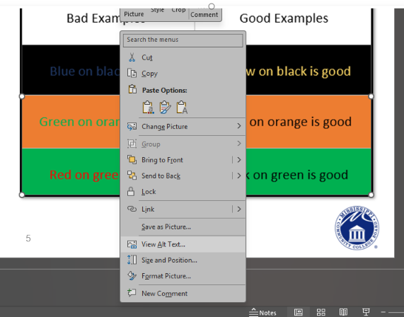 In Microsoft PowerPoint, the context menu for a selected image is open with the View Alt Text option highlighted to show where to add or edit alternative text for an image.