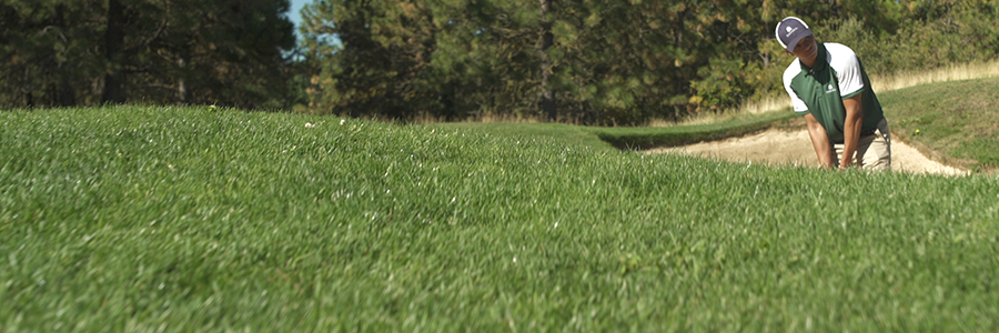 Small Golf Picture